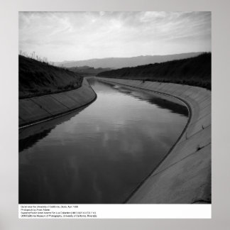 Canal nära UC Davis, 1966 Poster