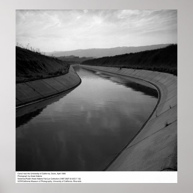 Canal nära UC Davis, 1966 Poster (Framsidan)
