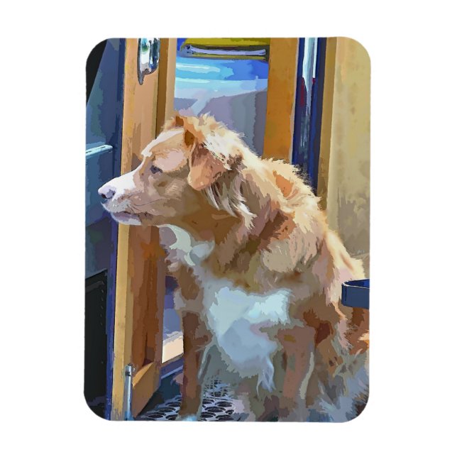 CANALS MAGNET (Vertikal)