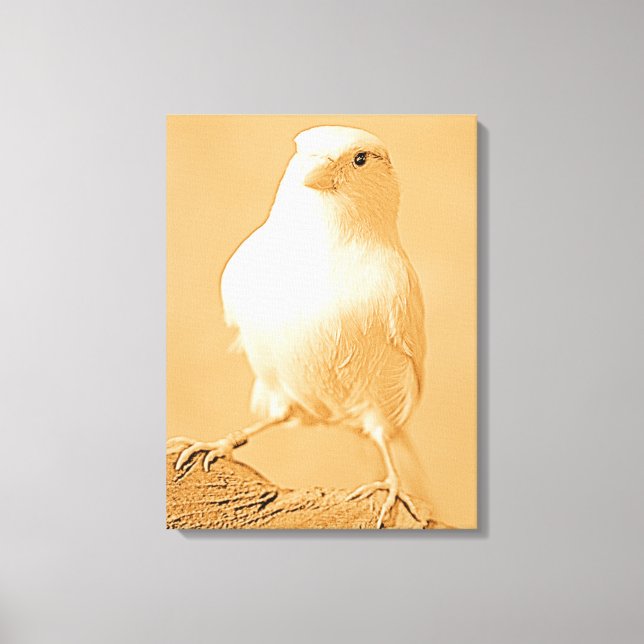 Canary Bird Canvas (Framsida)