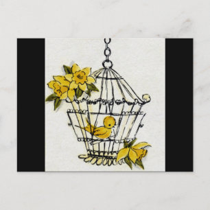 Canary och Dafodills Vykort