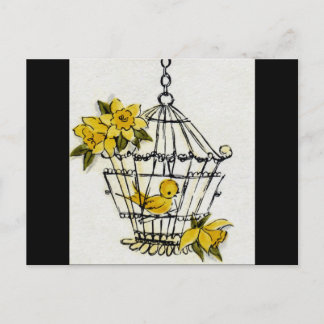 Canary och Dafodills Vykort