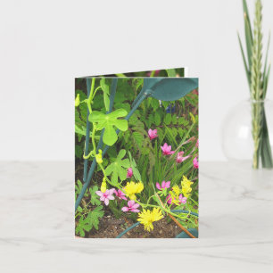 Canary & RedStar Note Card Kort