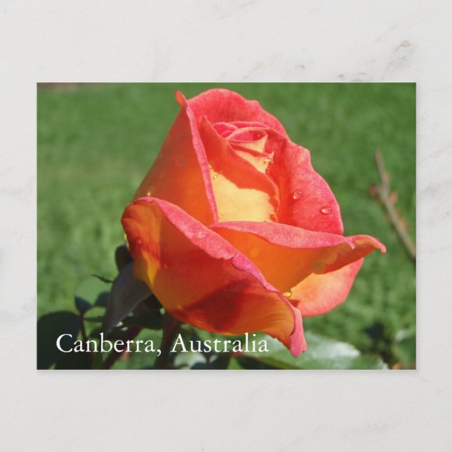 Canberra, Australiens vykort (Framsida)