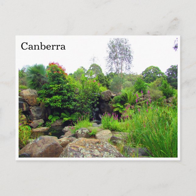 Canberra botaniska trädgårdar vykort (Framsida)