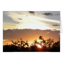 Canberra Sunset Hälsningskort