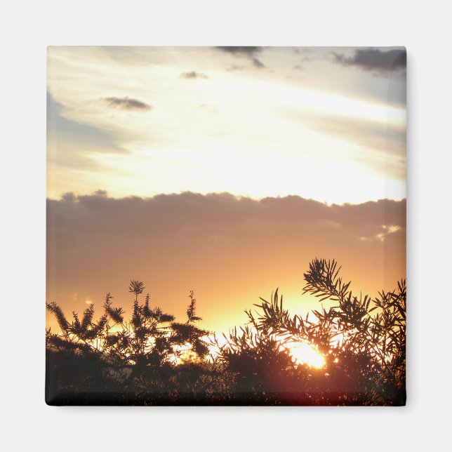 Canberra Sunset Magnet (Framsidan)