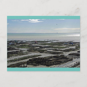 Cancale Oyster Park Frankrike Vykort