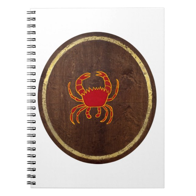 Cancer 2009 anteckningsbok (Framsidan)