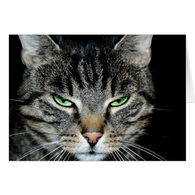 Cancer är Tuff, men du är tuffare Arg Katt Hälsningskort (Framsidan Horizontal)