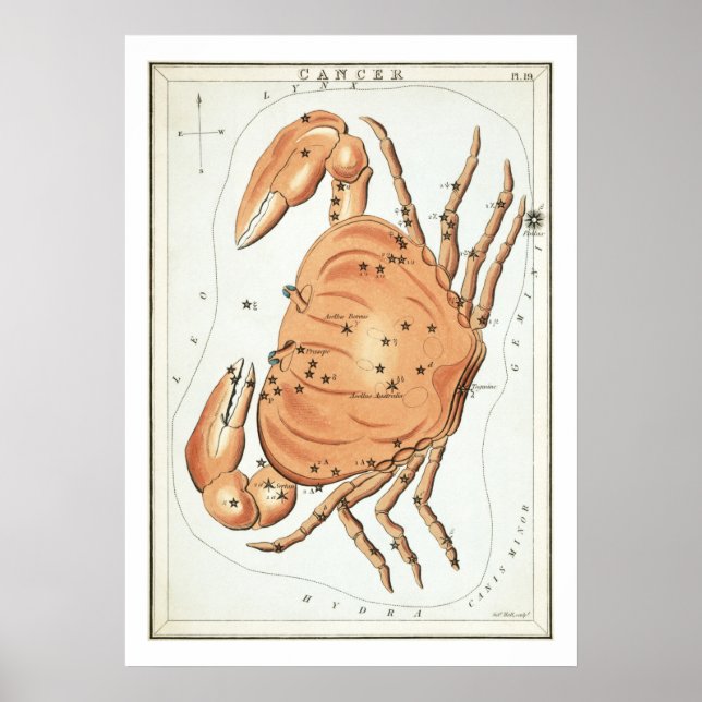 Cancer Astrologi Zodiak Poster (Framsidan)