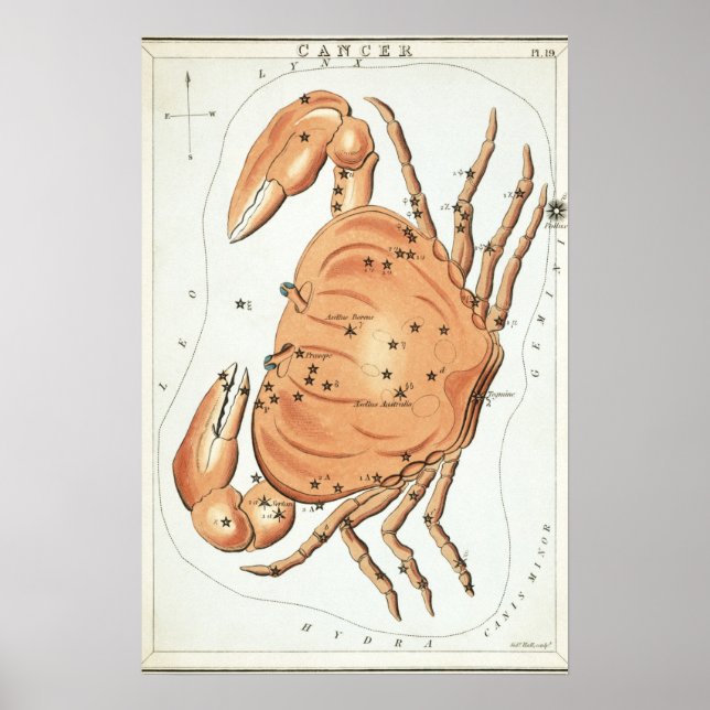 Cancer astrologisk teckning poster (Framsidan)