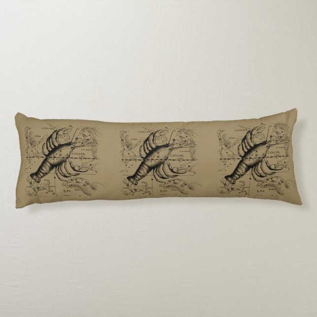 Cancer Constellation by Hevelius circa 1690 Kroppskudde (Baksidan)