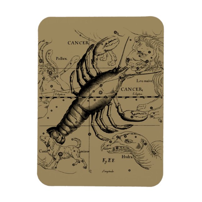 Cancer Constellation by Hevelius circa 1690 Magnet (Vertikal)