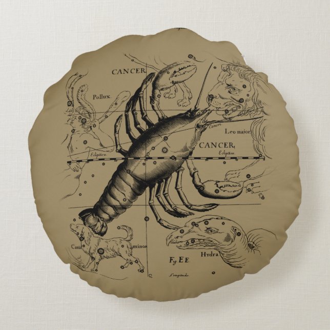 Cancer Constellation by Hevelius circa 1690 Rund Kudde (Baksidan)