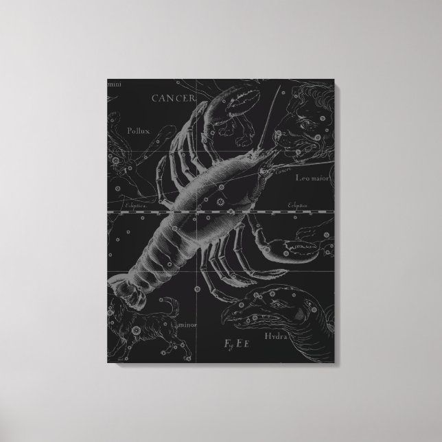 Cancer Constellation Hevelius 1690 Decor Canvastryck (Framsida)