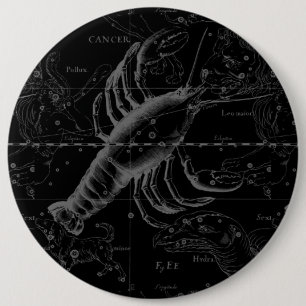 Cancer Constellation Hevelius 1690 Decor Knapp