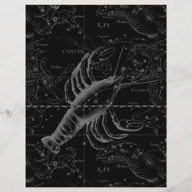 Cancer Constellation Hevelius 1690 Decor Reklamblad (Framsidan)