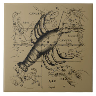 Cancer Constellation Hevelius 1690 Engaking Kakelplatta