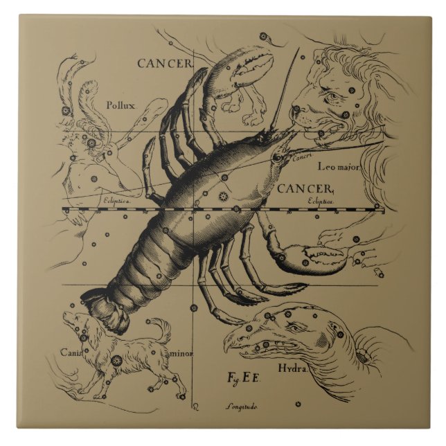 Cancer Constellation Hevelius 1690 Engaking Kakelplatta (Framsidan)