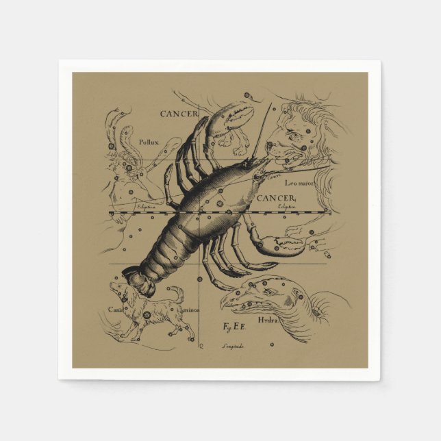 Cancer Constellation Hevelius 1690 Engaking Pappersservett (Framsidan)
