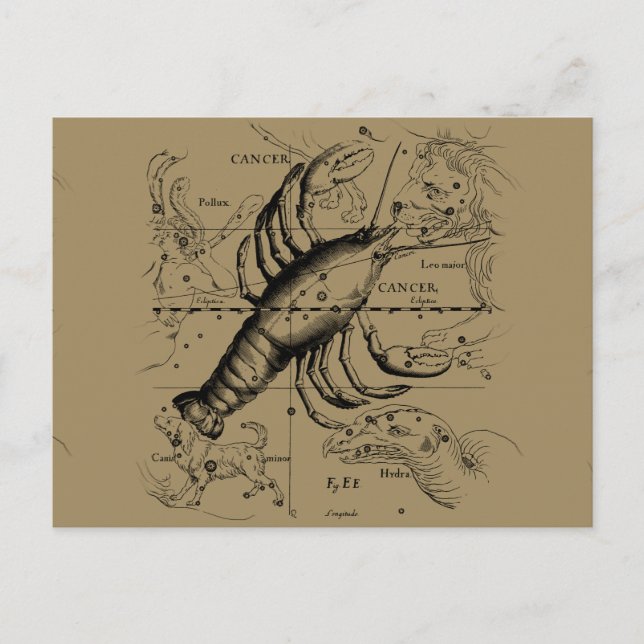 Cancer Constellation Hevelius 1690 Engaking Vykort (Framsida)