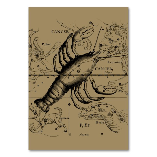 Cancer Constellation Hevelius 1690 juni 21-22 juli Bordsnummer (Framsidan)