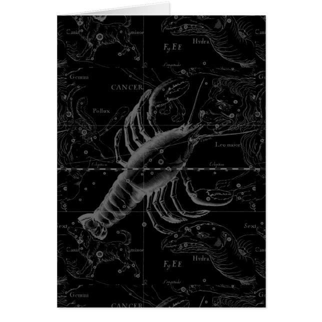 Cancer Constellation Hevelius 1690 on Black Hälsningskort (Framsidan)