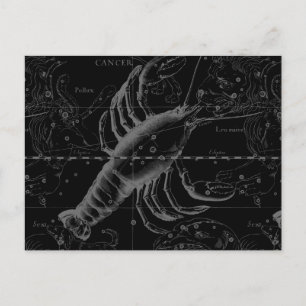 Cancer Constellation Hevelius 1690 on Black Vykort