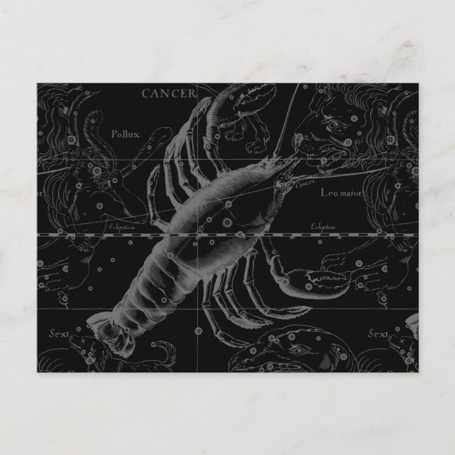 Cancer Constellation Hevelius 1690 on Black Vykort (Framsida)