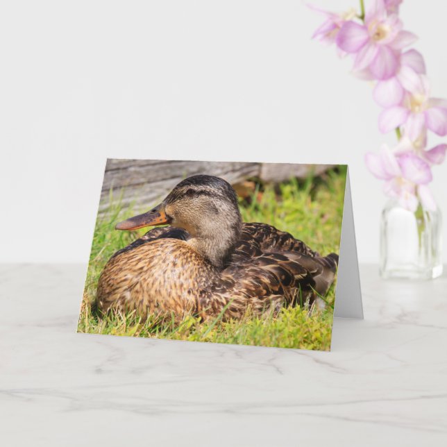 Cancer Encouragement Mallard Anka Kort (Orkide)