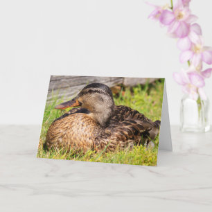 Cancer Encouragement Mallard Anka Kort