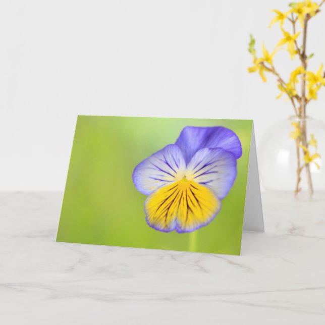 Cancer Encouragement Pansy Kort (Gul blomma)