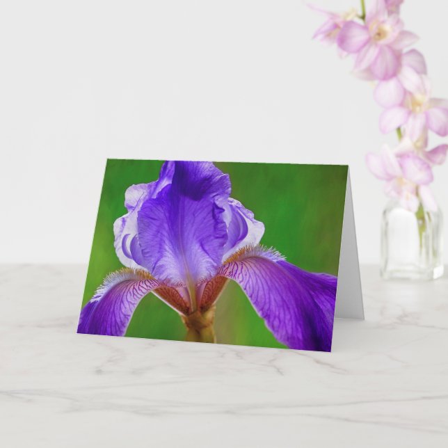 Cancer Hope och Support Iris Kort (Orkide)