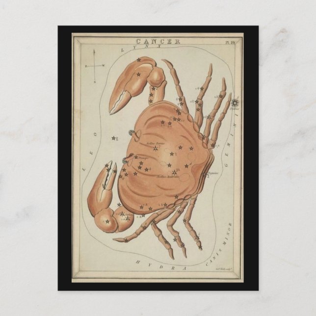 Cancer i Crab Vykort (Framsida)
