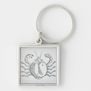 Cancer (krabban) en illustration från 'det fyrkantig silverfärgad nyckelring