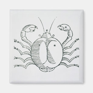 Cancer (krabban) en illustration från 'det magnet