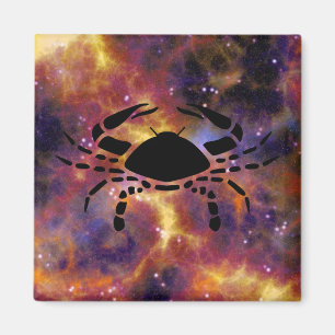 cancer krabbmagnet magnet
