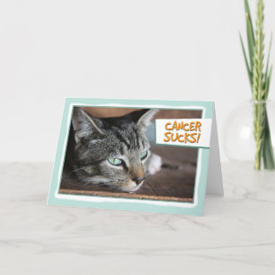 Cancer suger, den ledsna katten kort