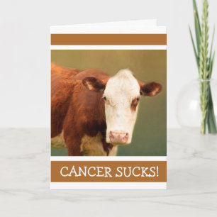 Cancer Support Funny Cow Kort