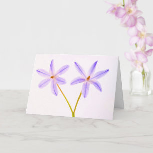 Cancer/Svår Sjukdom Blommig Stöd Kort
