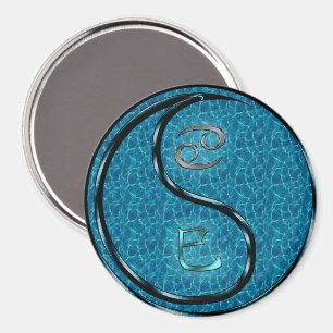 Cancer & Vattenorm Magnet