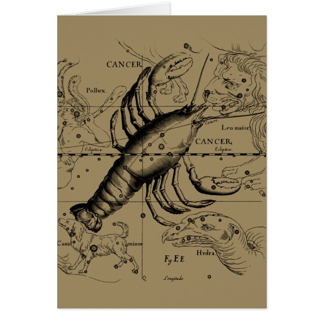 Cancer Zodiac Constellation by Hevelius 1690 Hälsningskort (Framsidan)