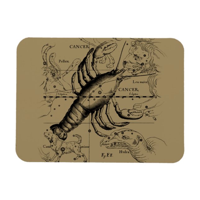 Cancer Zodiac Constellation by Hevelius 1690 Magnet (Horisontell)