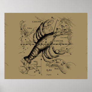 Cancer Zodiac Constellation by Hevelius 1690 Poster