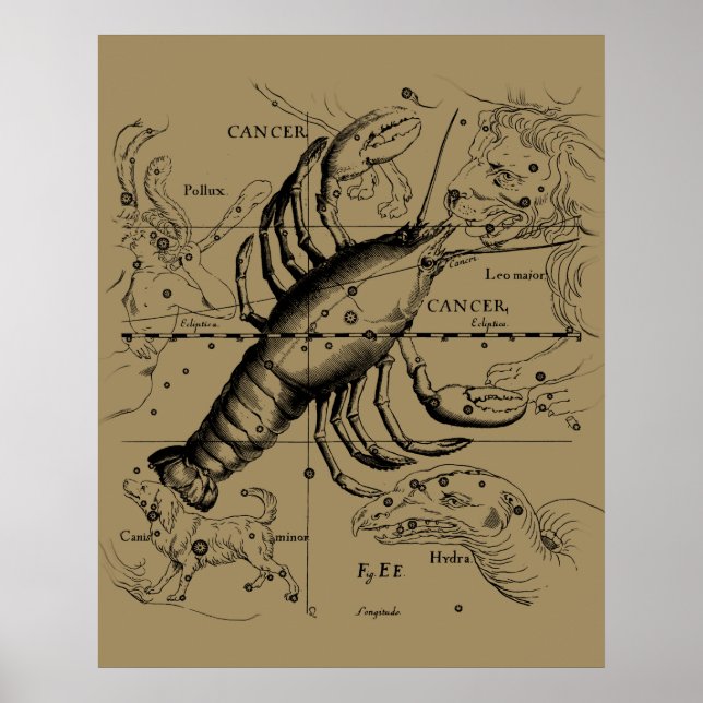 Cancer Zodiac Constellation by Hevelius 1690 Poster (Framsidan)