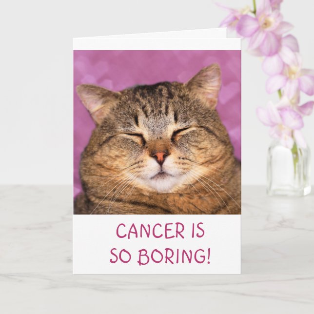 Cancern är en sköljbar katt kort (Orkide)