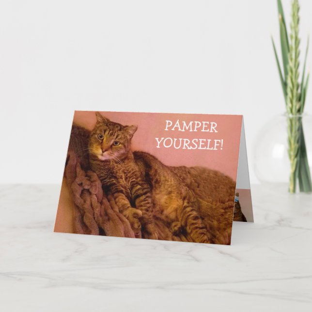 Cancern är slut på en fin katt kort (Framsida)