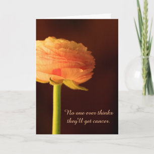 Cancerstöd Blomma Ranunculus Uppmuntran Kort