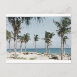 Cancun Handflatan Vykort